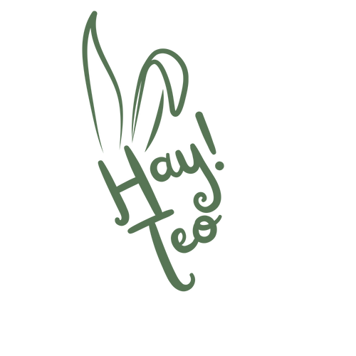 Hay Teo!